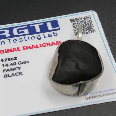 Original Certified Shaligram Stone Pendant – dharmsaar
