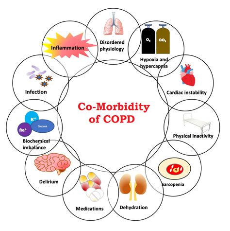 Aetiology Of Copd: Copd Diagnosis – NHMRJ