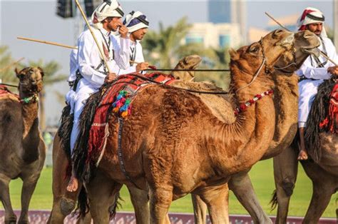 卡塔尔旅游攻略 现代版阿拉伯生活 - 卡塔尔游记攻略【携程攻略】