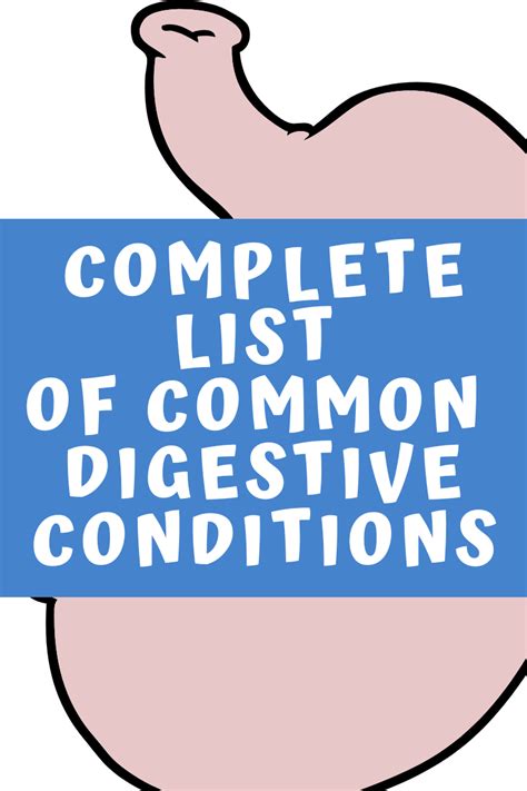 Common Digestive Problems 的图像结果