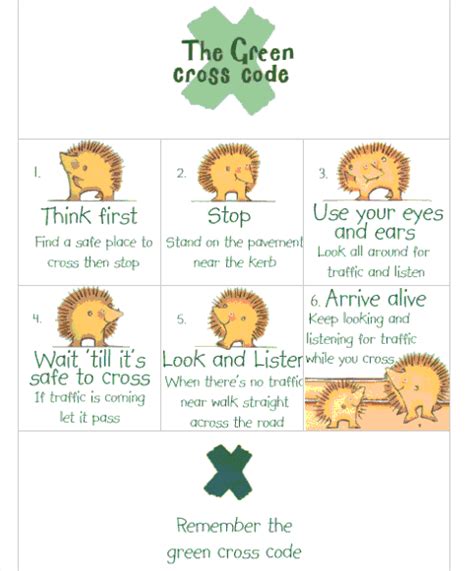 Image result for The Green Cross Code Facts