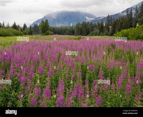 Image result for Course Work Example
