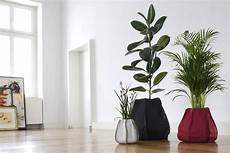 vasi per piante da interno moderni vasi design per piante da interno garden arredare vasi per piante da interno moderni vasi design per piante da interno garden arredare