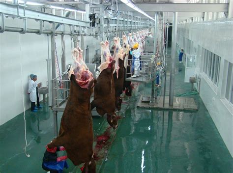 猪屠宰流水线设备,牛羊宰杀设备,家禽分割输送生产线-阿里巴巴