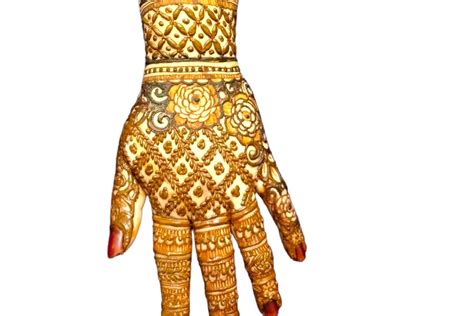 Tashi Designs - Mehndi - Hebbal - Weddingwire.in