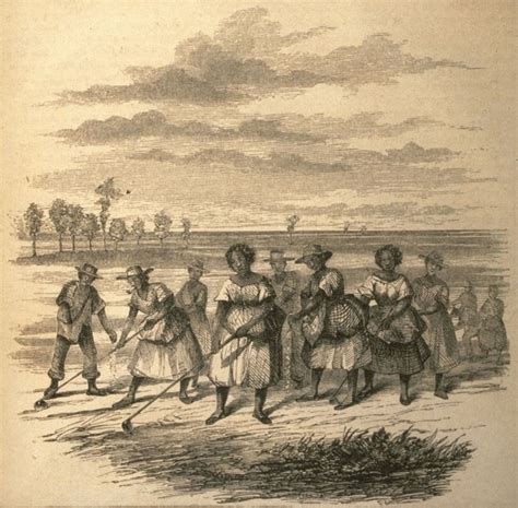 Task System 的图像结果