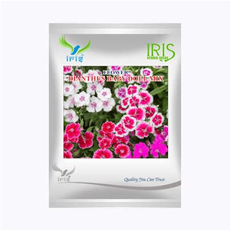 Buy Iris Imported OP Dianthus Baby Doll Mix Seeds – Compact Plants wi...