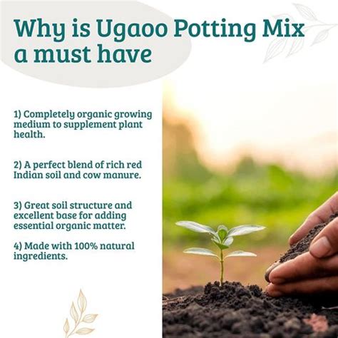 UGAOO Organic Potting Garden Soil Mix for Plants 20 Kg Potting Mixture ...
