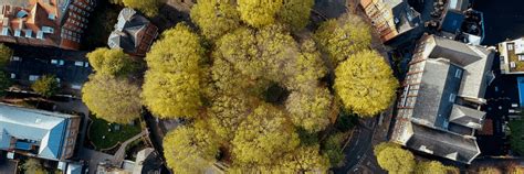 Image result for Highway Code Changes 2021