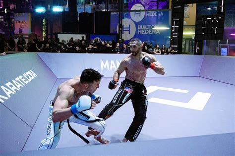 Karate 的图像结果