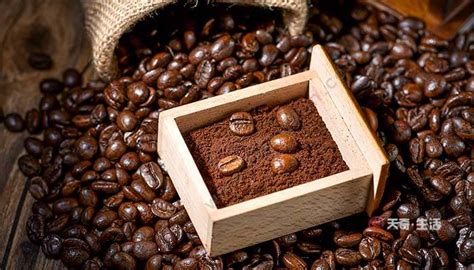 咖啡豆的种类 咖啡豆有多少品种 - 天奇生活