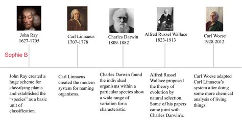 Evolution Timeline 的图像结果