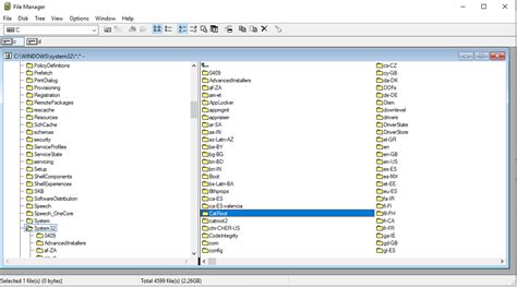 Windows 3.1 File Manager 的图像结果