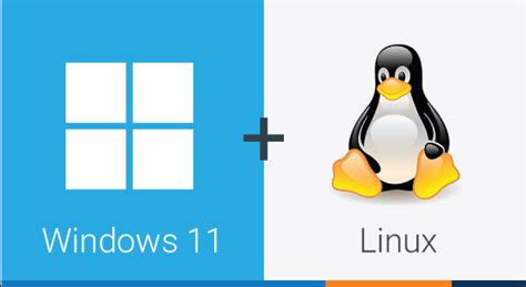 How to Remove Linux From Dual Boot Windows 11 的图像结果