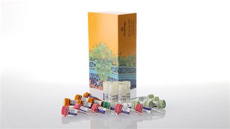 Lumit® IL-10 (Human) Immunoassay