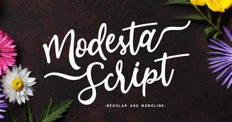 Image result for Free Script Fonts