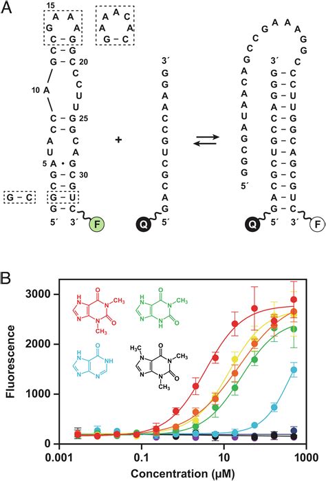 RNA 的图像结果