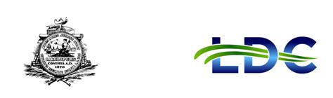 Local Development Corporation 的图像结果