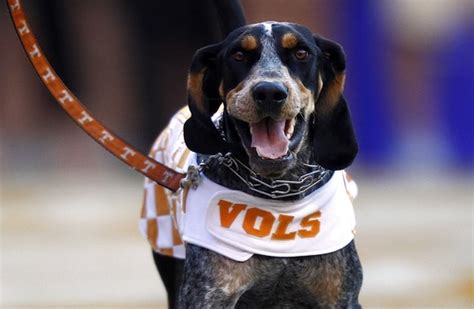 How to watch Tennessee Vols vs East Tennessee State football today; is ...