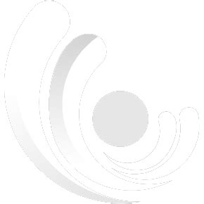 Ashampoo Colorizer 的图像结果