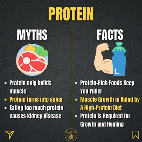 The Myths and The Facts About Protein | Eating too much protein, Health quotes motivation ...