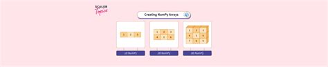 Image result for Python Numpy Array Creation
