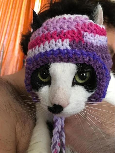 Crochet Cat Hat Beanie Pattern at Nancy Bradley blog