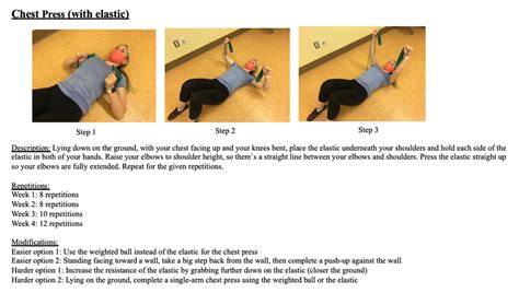 Image result for How to Program Exercise