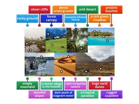 Feature 的图像结果