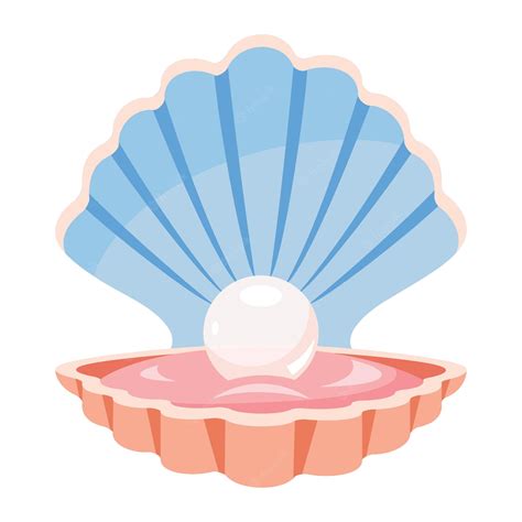 290+ Open Clam Illustrations, Royalty-Free Vector Graphics & Clip #3295525