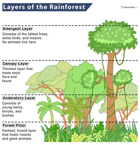 Image result for Database First Normal Sample