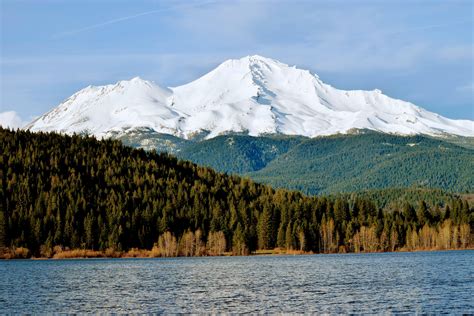 Zillow Mount Shasta California at Ellie Roseby blog
