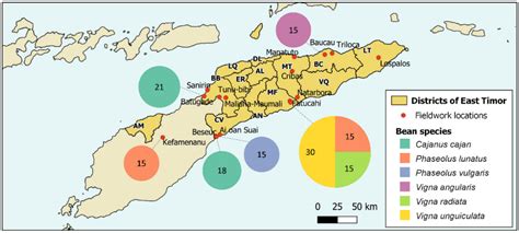 Diversity of Legumes in the Cashew Agroforestry System in East Timor ...