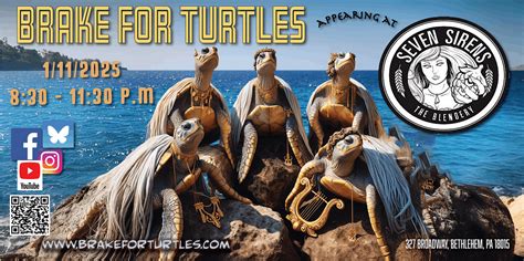 Brake for Turtles LIVE at Seven Sirens Brewery, Seven Sirens Brewing ...