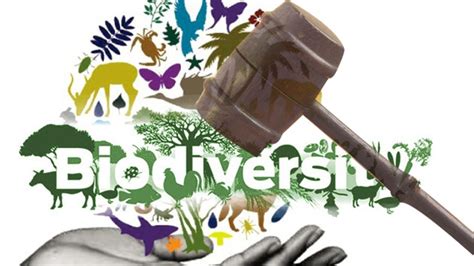 GK Questions and Answers on the Biodiversity and Legislation