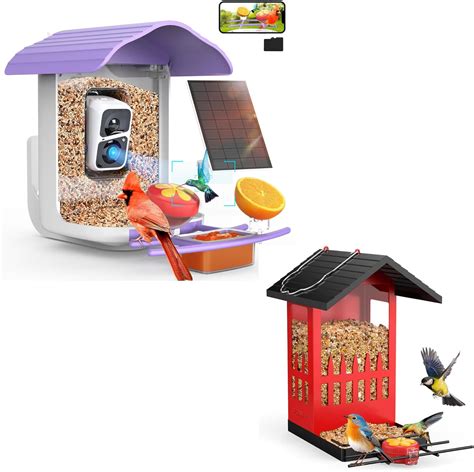 Amazon.com : birdsnap® PAV- Smart Bird Feeder with Camera+ PHE Metal ...