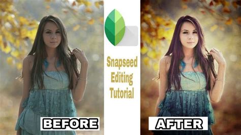 Image result for Snapseed Editing Tricks