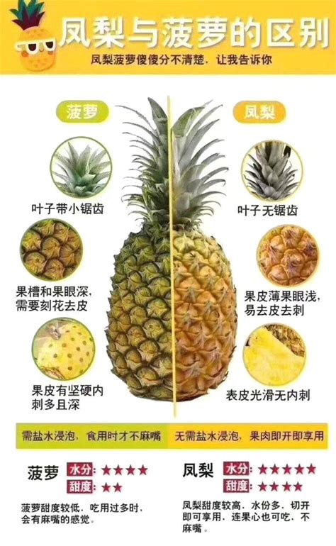 菠萝和凤梨的区别，一张图帮你分辨-枣百科