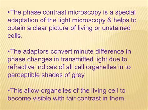Image result for How to Use a Phase Contrast Microscope