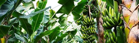 All Products - Agriplast Tech India | Greenhouse Films, Shade Nets & More