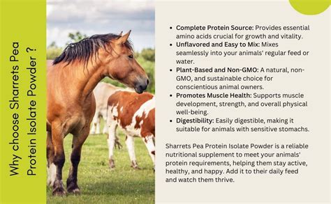 Buy Sharrets Vegan Pea Protein Supplement for Animals 200g x 3 pet ...