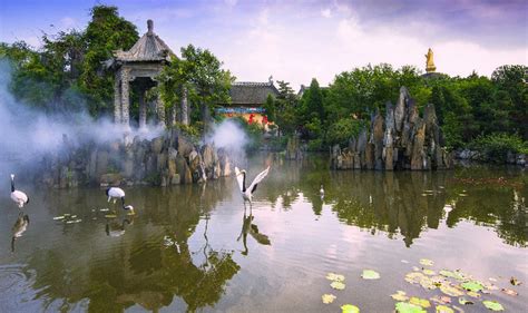 【携程攻略】颍上八里河旅游区景点,八里河风景区是皖北最有名的风景区了，也是中国第一家农民公园。八里…