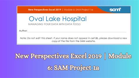Illustrated Excel 2019 Module 1 4 Sam Capstone Project 1A 的图像结果