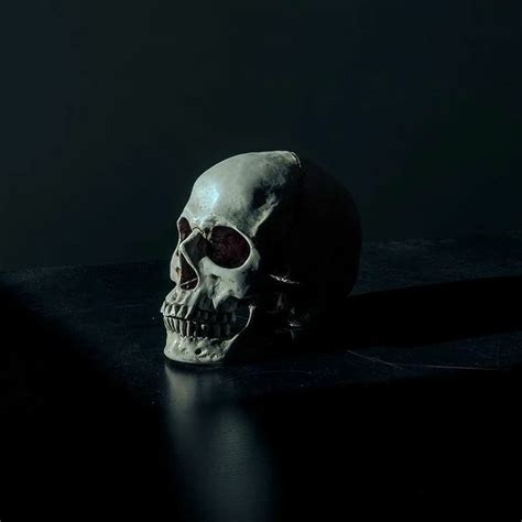 Distorted Screaming 的图像结果