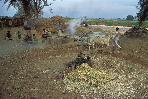 Industries In Uttar Pradesh