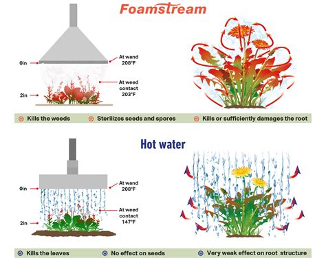 Top three ways to control weeds organically | Weedingtech