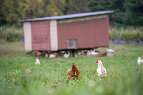 About Us — Apple Ridge Farm