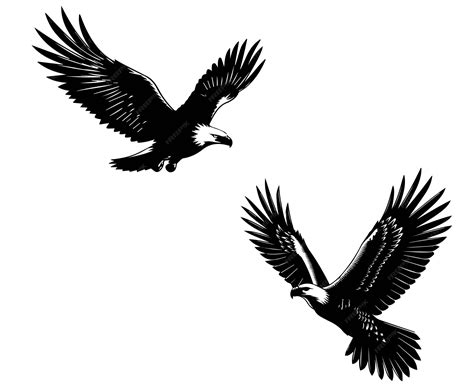 Premium Vector | Eagle flying silhouette vector