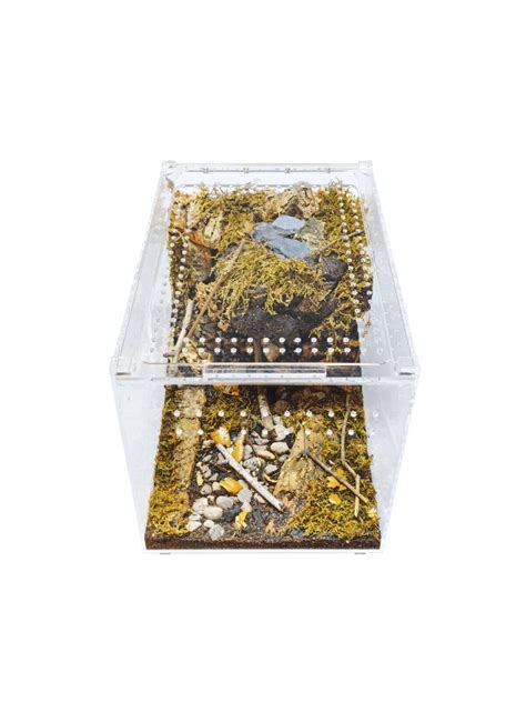 Buy Herpcult Acrylic Reptile Terrarium Gecko Lizard Spider Vivarium ...