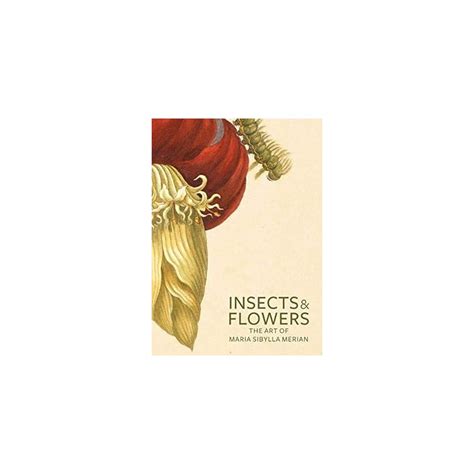 Buy Insects and Flowers: The Art of Maria Sibylla Merian Paperback ...